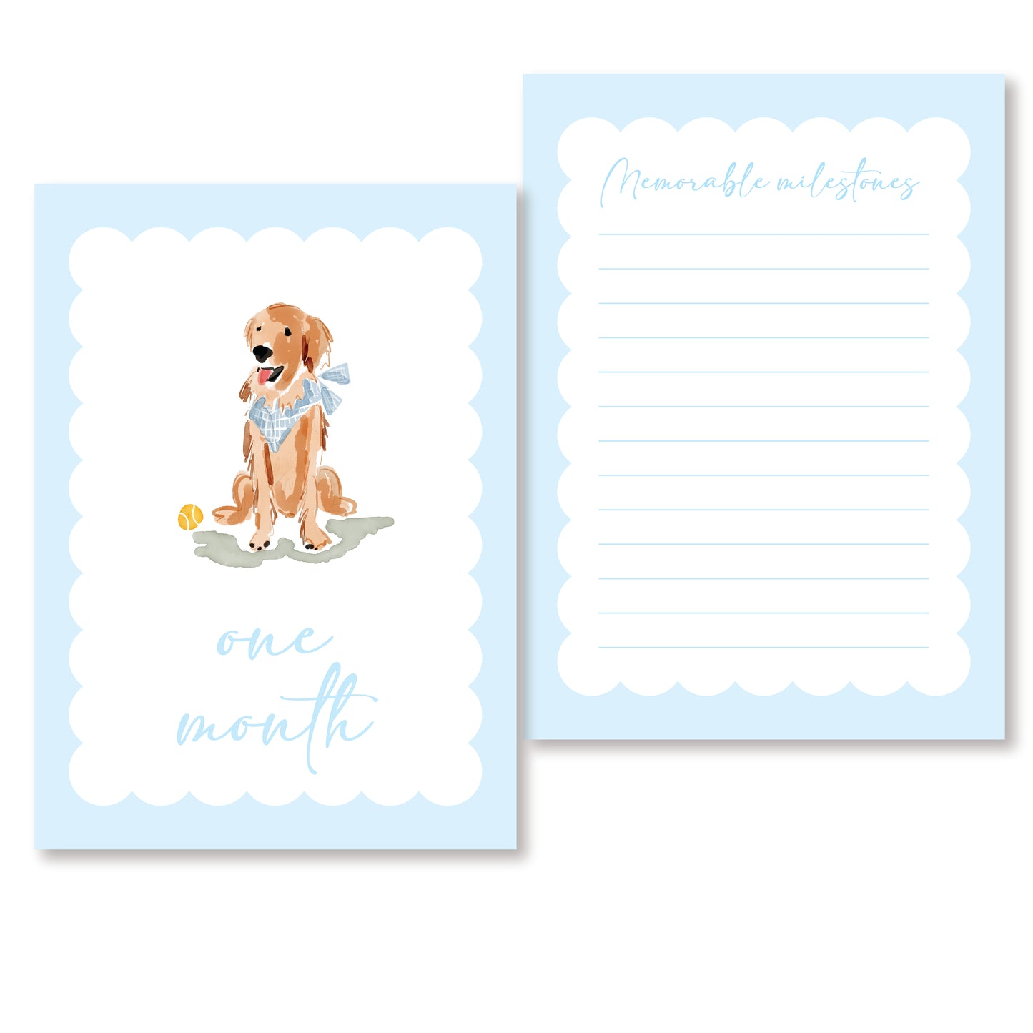 Blue Golden Monthly Milestones