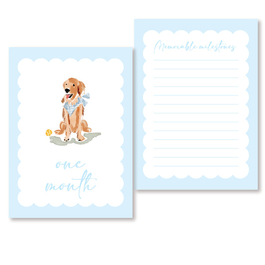 Blue Golden Monthly Milestones